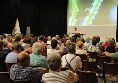 Conférences