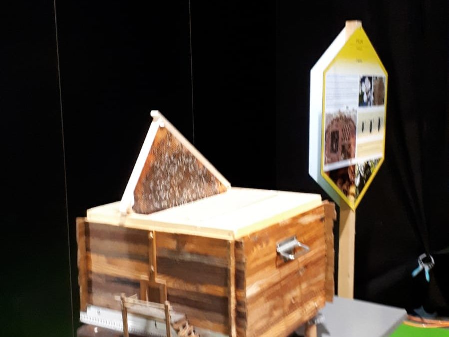 L’Association de l’Abeille en Fête au salon Epicuria à Martigny